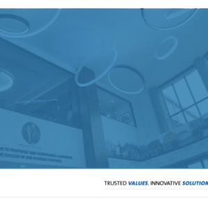 PowerPoint Template | Sales Meetings